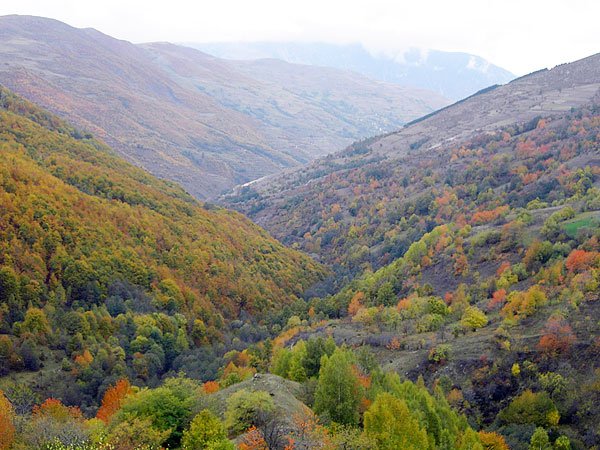 Sharr Mountains south of Prizren (Photo: Robert Elsie, October 2006)