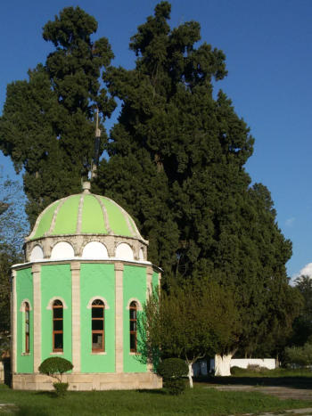 A tyrbe (mausoleum) and an old cypress treeat the Bektashi teqe (monastery) of Fushë Kruja,Albania (photo: Robert Elsie, September 2016).